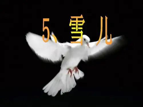 5《雪儿》)