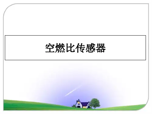 最新空燃比传感器
