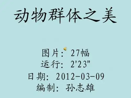 动物群体之美