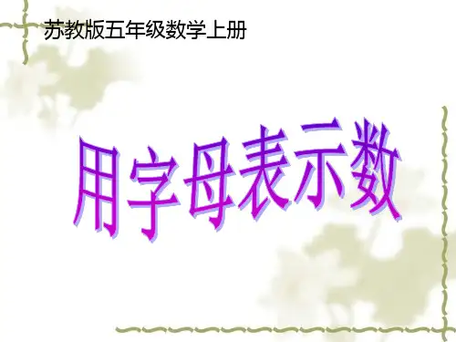 苏教版五上用字母表示数