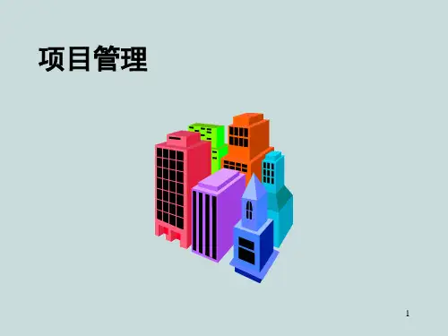 项目管理——项目管理概念