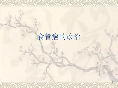 食管癌PPT幻灯片