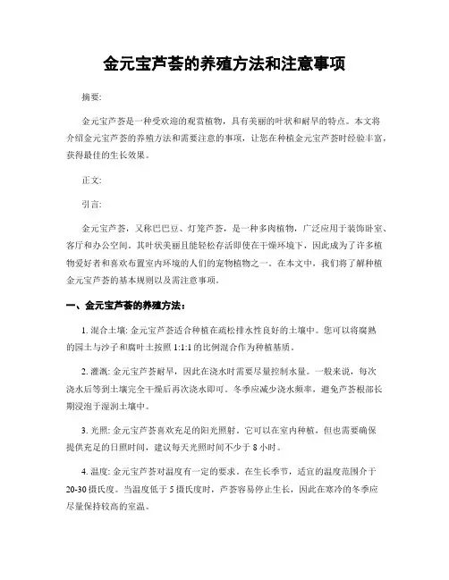 金元宝芦荟的养殖方法和注意事项