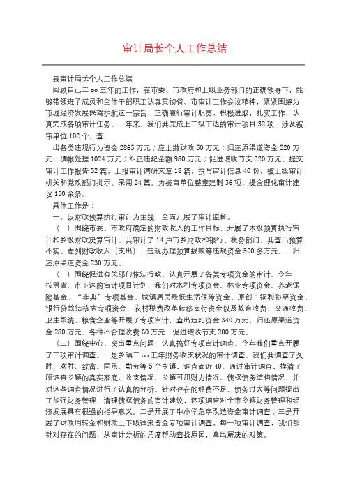 审计局长个人工作总结