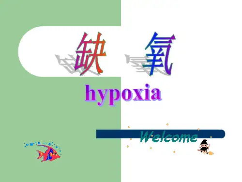 小鼠缺氧实验