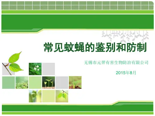 蚊蝇的鉴别与防制