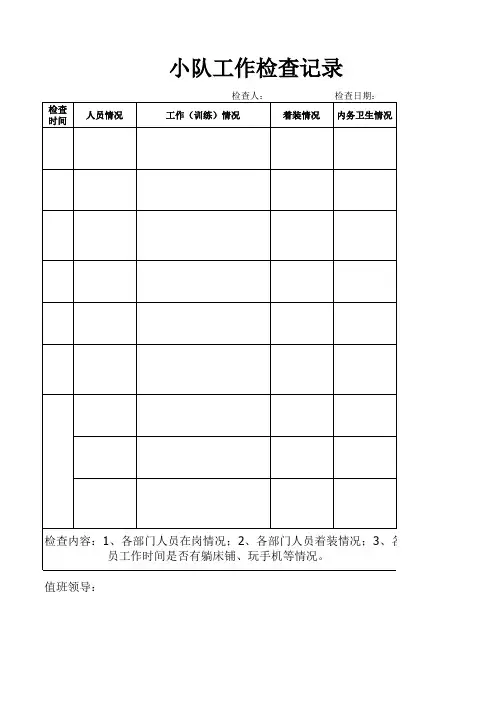 小队工作检查记录