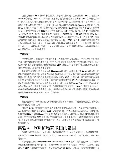 分子生物学实验