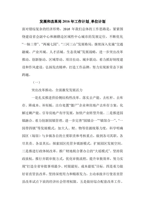 发展和改革局2016年工作计划_单位计划.doc