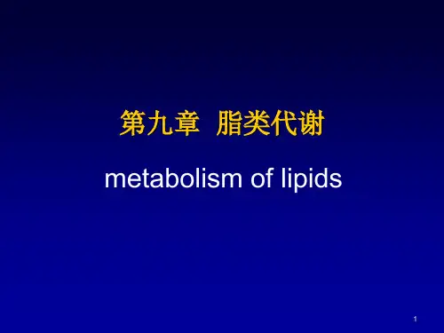三酰甘油磷脂