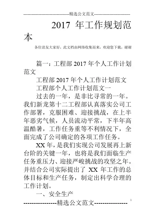 2017年工作规划范本