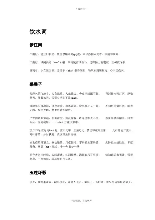 饮水词