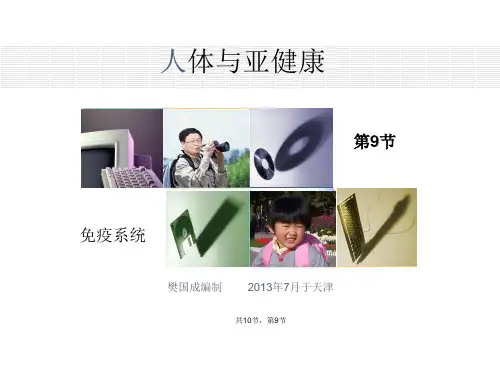 人体与亚健康共节,免疫系统与亚健康 ppt课件(1)