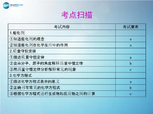 浙江省温州市龙湾区实验中学中考科学总复习 化学反应的应用课件