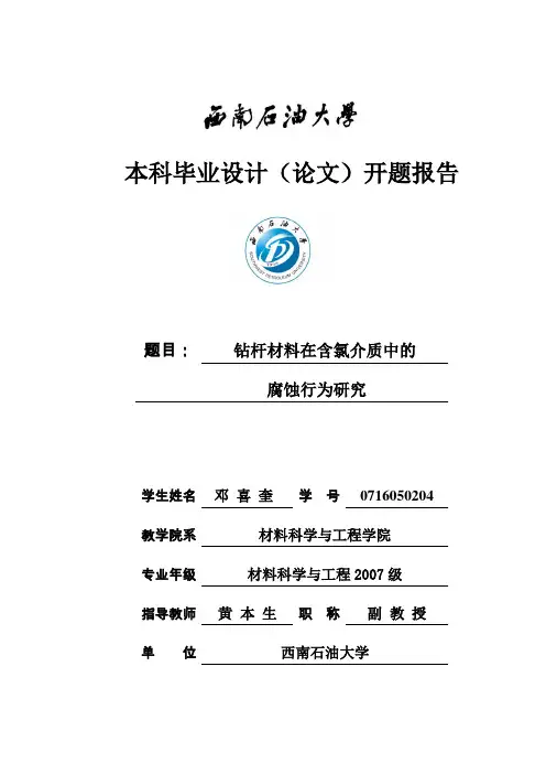 氯离子腐蚀开题.doc修改