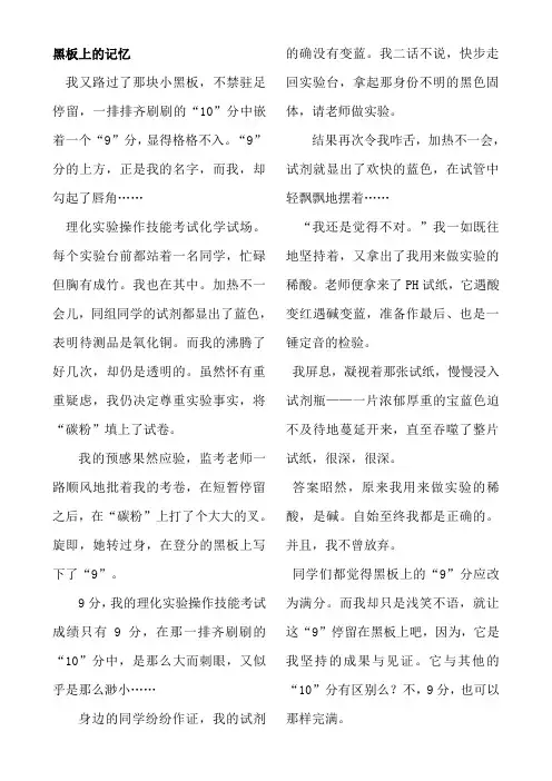 中考优秀记叙文_精选
