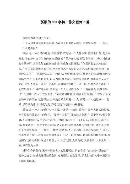 孤独的800字初三作文范例5篇