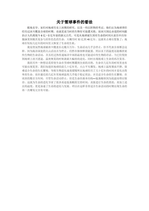 关于雪球事件的看法
