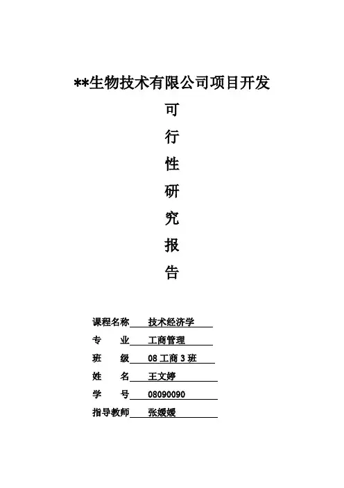 可行性研究报告范例