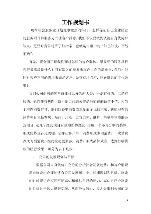 工作规划书