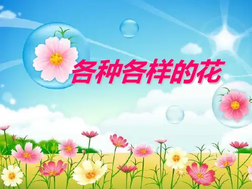 小学四年级下册- 各种各样的花教科版 ppt(43张)