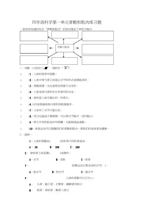 四年级科学第一单元骨骼和肌肉练习题2