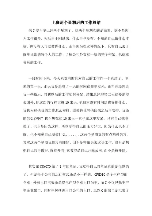 2020年上班两个星期后的工作总结