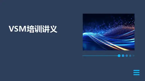 VSM培训讲义