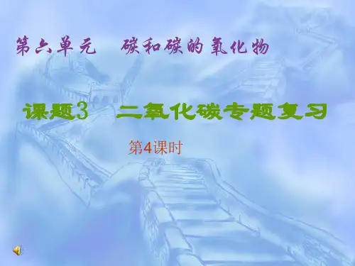 二氧化碳复习课课件