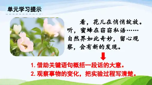 部编版三年级下册语文13.花钟