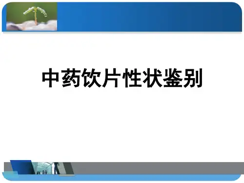 中药饮片的性状鉴别