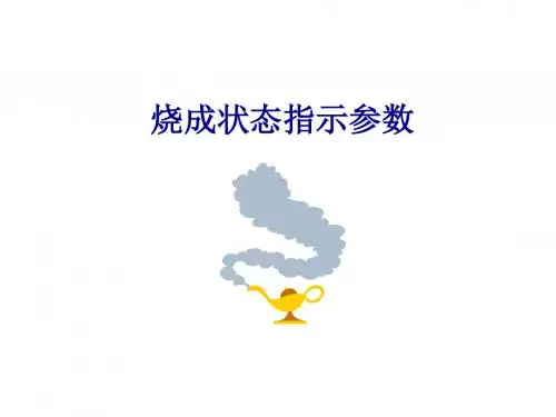 6 烧成状态指示参数
