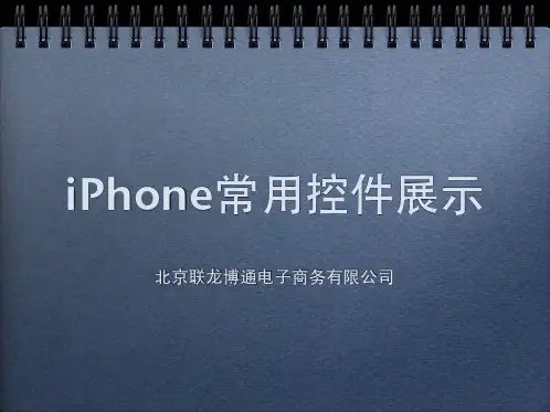 iPhone常见控件展示