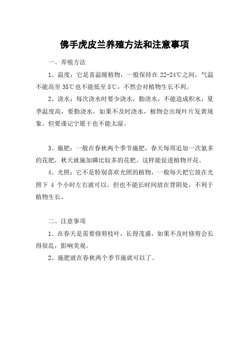 佛手虎皮兰养殖方法和注意事项