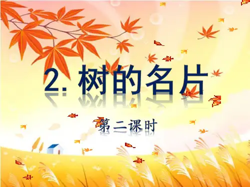 大班启蒙 树的名片