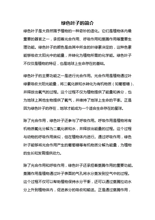 绿色叶子的简介