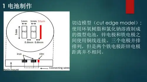 铁-锌在中性含氯离子溶液中腐蚀过程的扫描电极技术研究