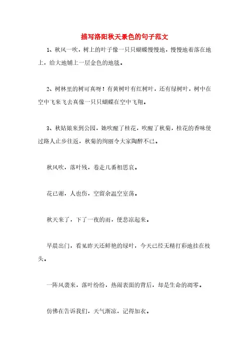 描写洛阳秋天景色的句子范文