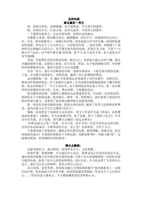 襄阳2013满分作文003