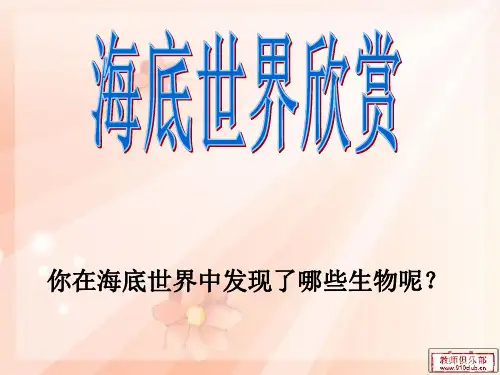 海龟旅行记
