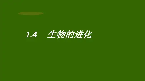 1.4生物的进化