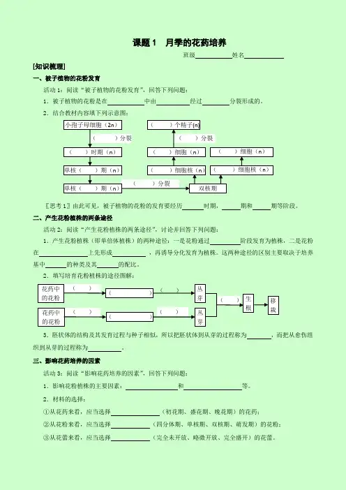 月季的花药培养学案