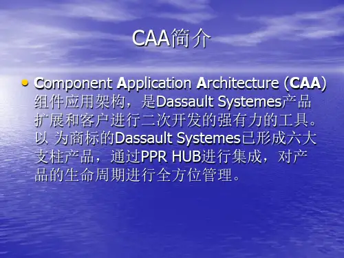 catia-CAA