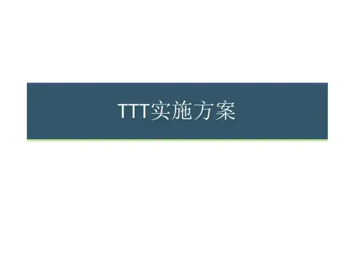 TTT实施方案
