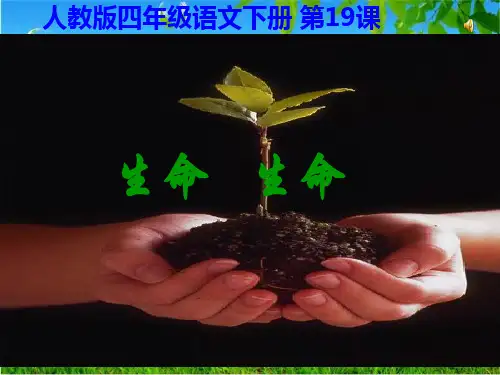 语文人教版四年级下册小练笔