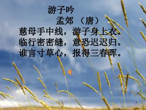 18.《慈母情深》课件.ppt11月4日