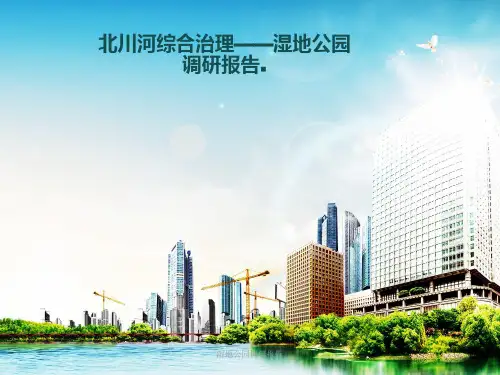 湿地公园调研报告 ppt课件
