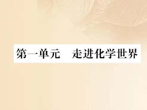 中考化学总复习第一编第1单元走进化学世界(精练)课件