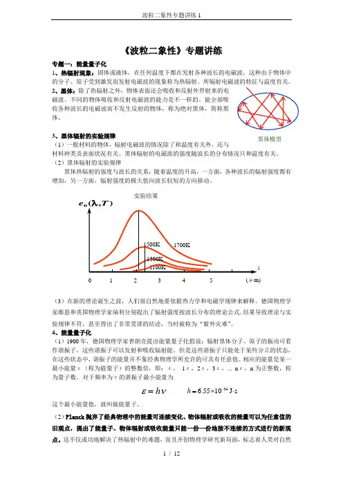 波粒二象性专题讲练1