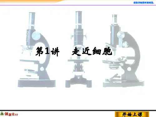 1-1-1高中生物必修一一轮复习